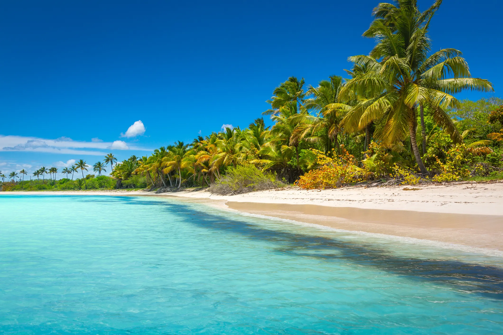 🇩🇴 Dominican Republic